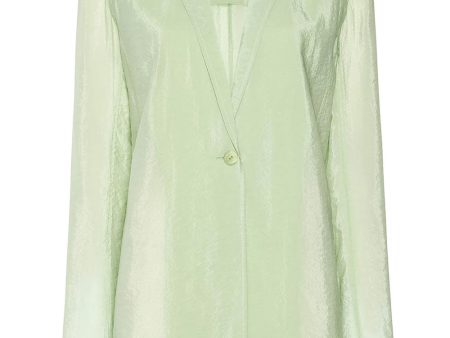 Aloe Sheer Single Breasted Blazer Online