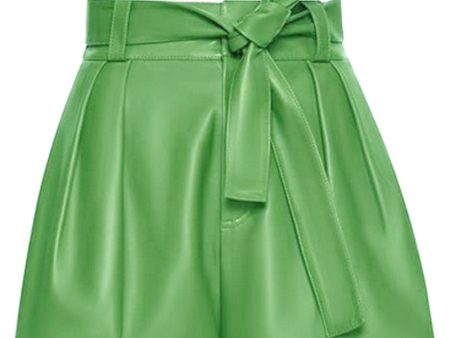 Aloe Leather Pleated Short Cheap