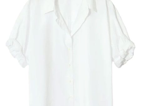 White Teddy Shirt on Sale