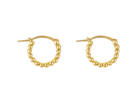 18k Yellow Gold Zelie Mini Hoop Earrings Online